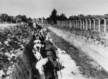 Neuengamme gevangenen aan het werk aan het Dove-Elbe canal, 1941-1942
