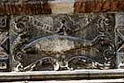 Salmon sign